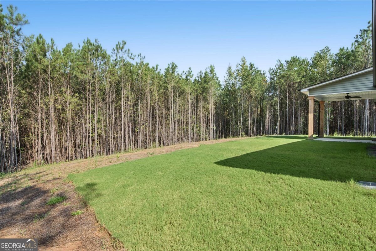 466 Mount Zion Church Road Tallapoosa - Photo 39