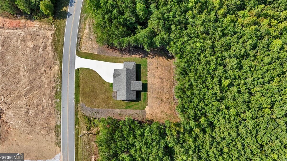 466 Mount Zion Church Road Tallapoosa - Photo 41