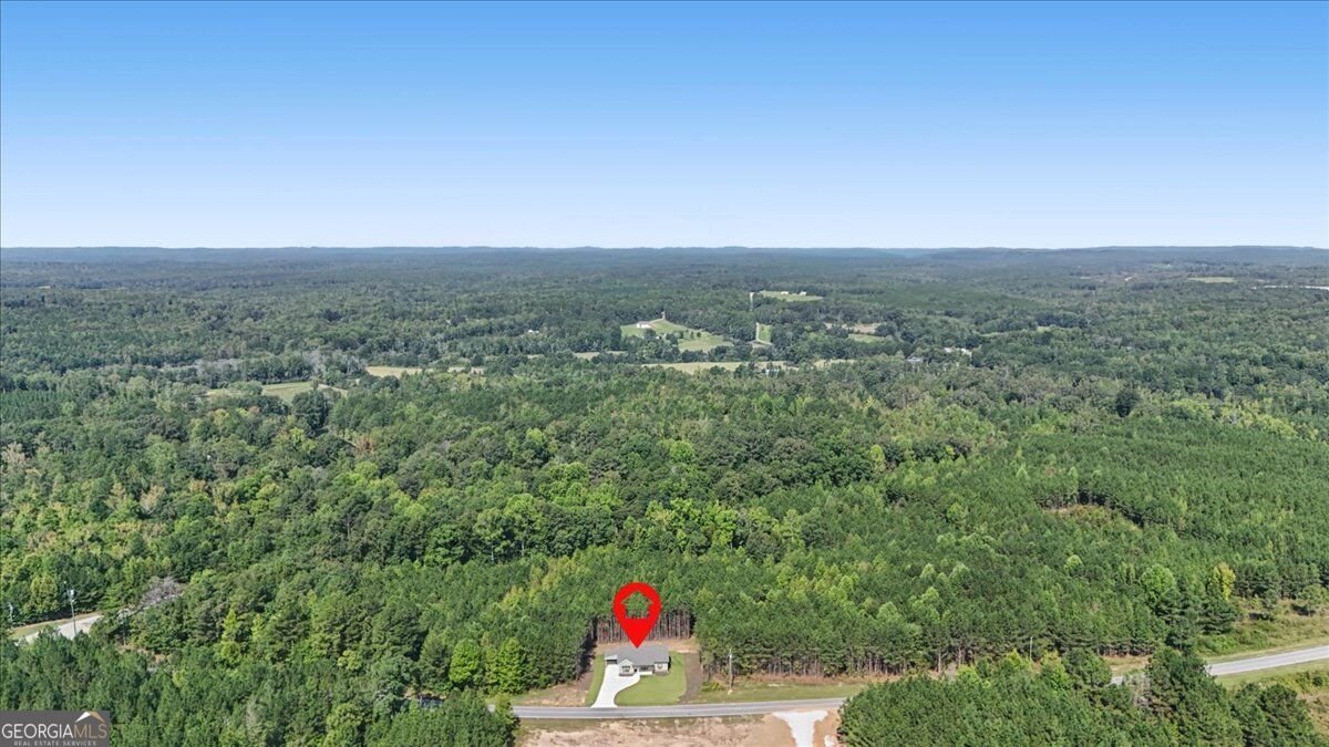 466 Mount Zion Church Road Tallapoosa - Photo 42