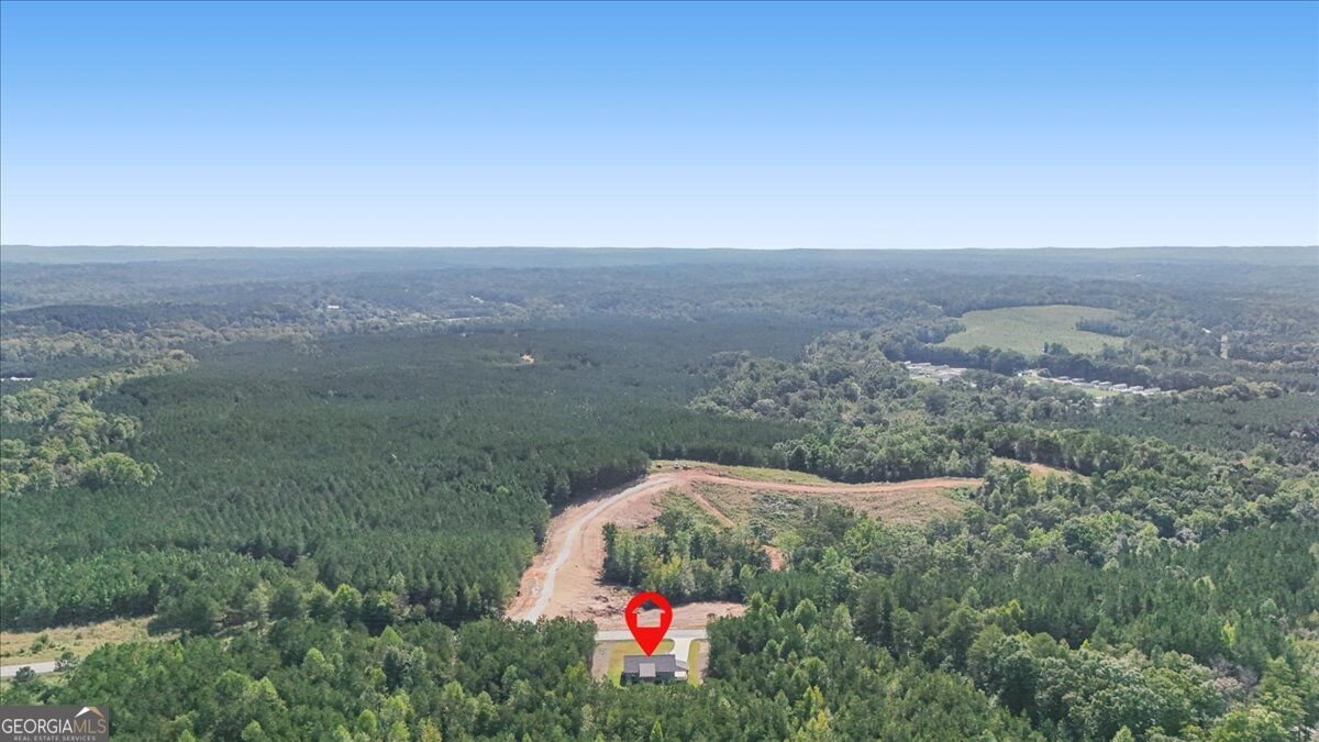 466 Mount Zion Church Road Tallapoosa - Photo 43