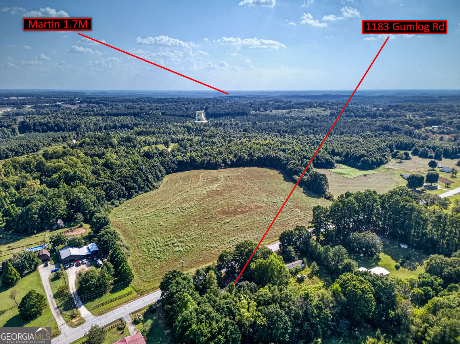 1183 Gumlog Road Martin - Photo 36