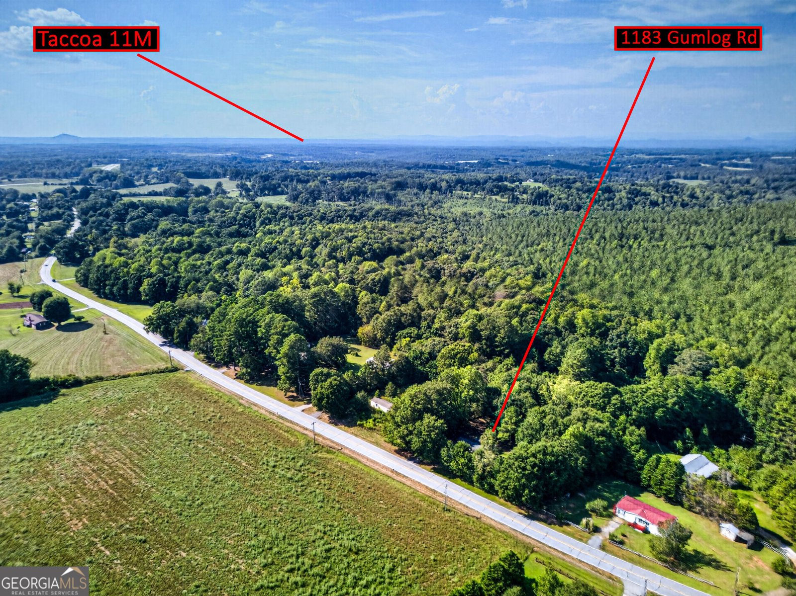 1183 Gumlog Road Martin - Photo 37