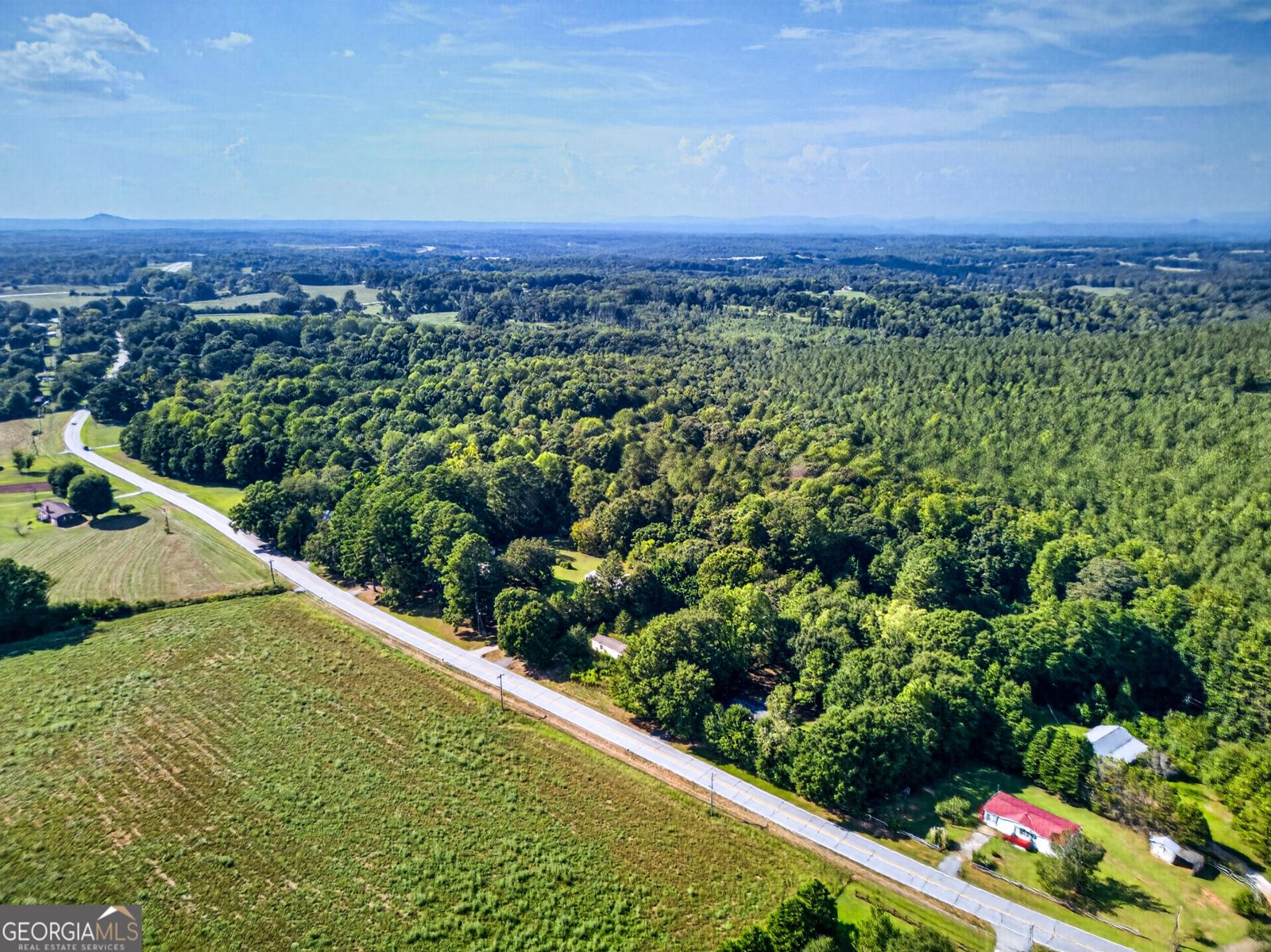 1183 Gumlog Road Martin - Photo 38