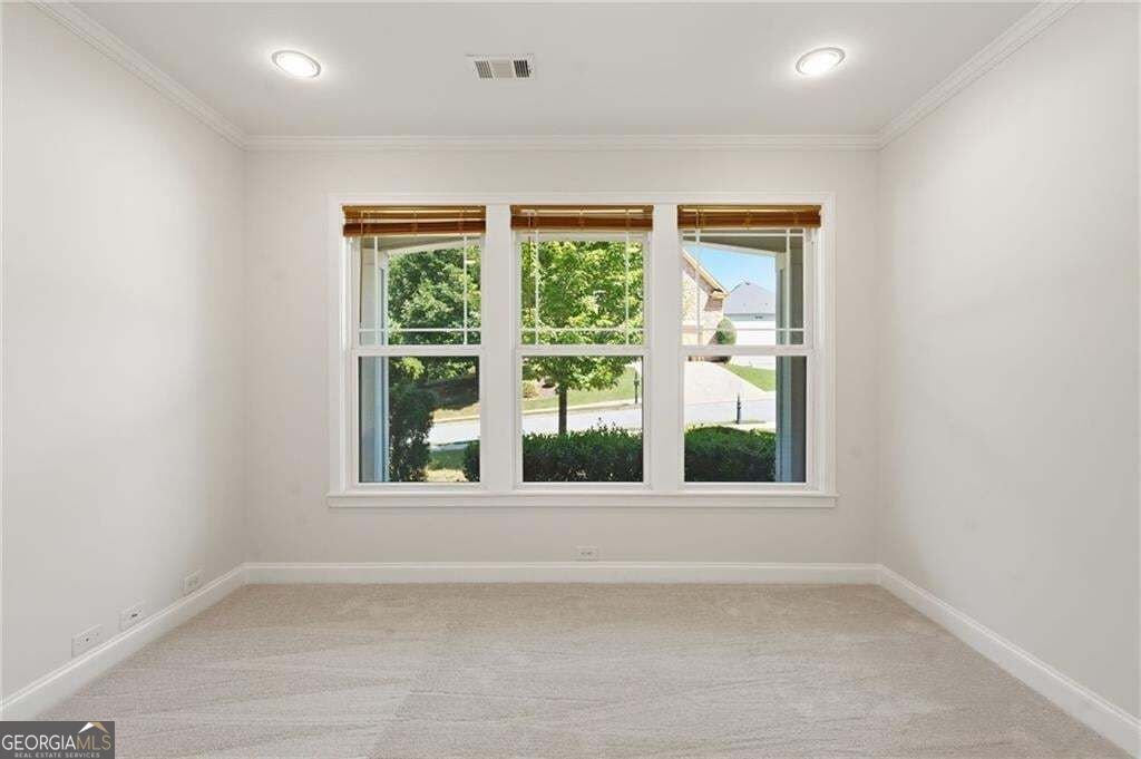 3325 Trowbridge Drive Cumming - Photo 52