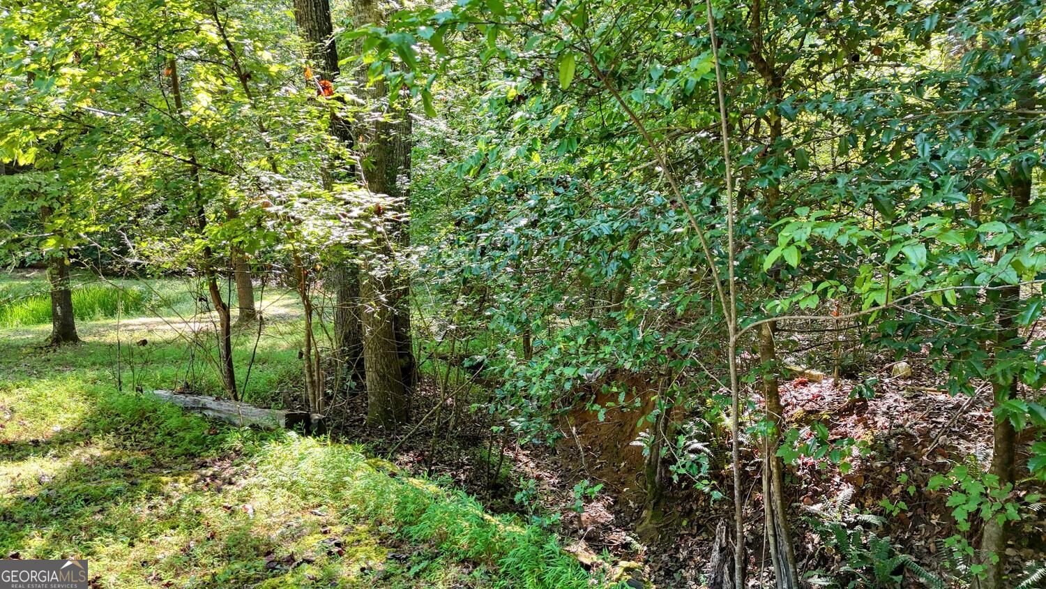 6881 Wood Lake Circle Young Harris - Photo 53