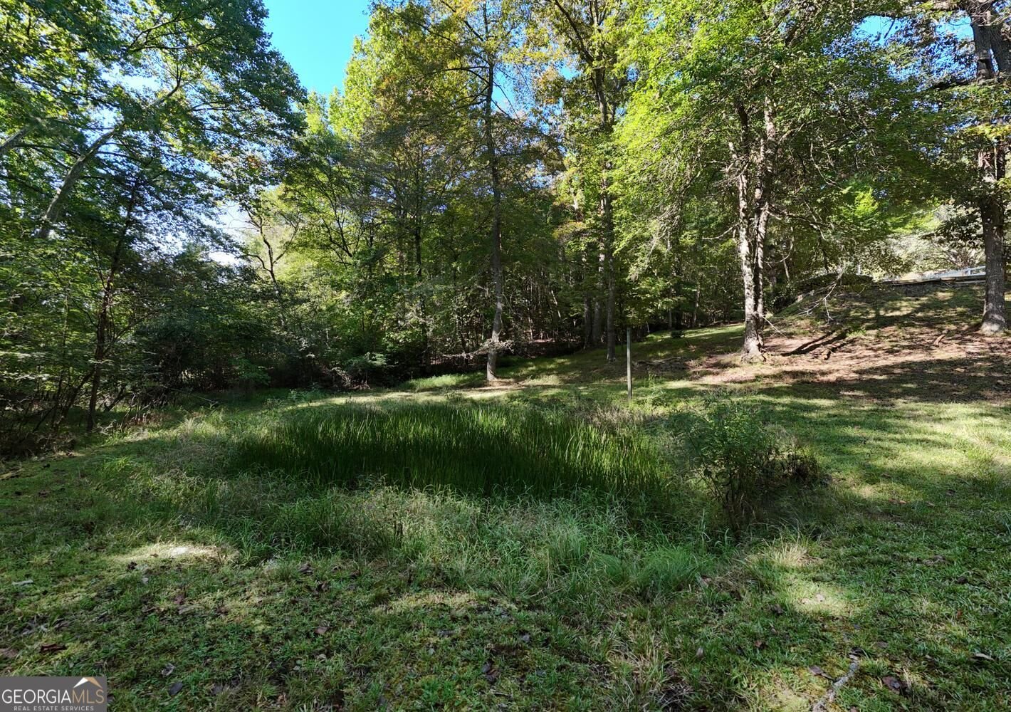 6881 Wood Lake Circle Young Harris - Photo 58