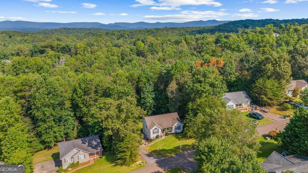 272 Cedar Springs Lane Dahlonega - Photo 44