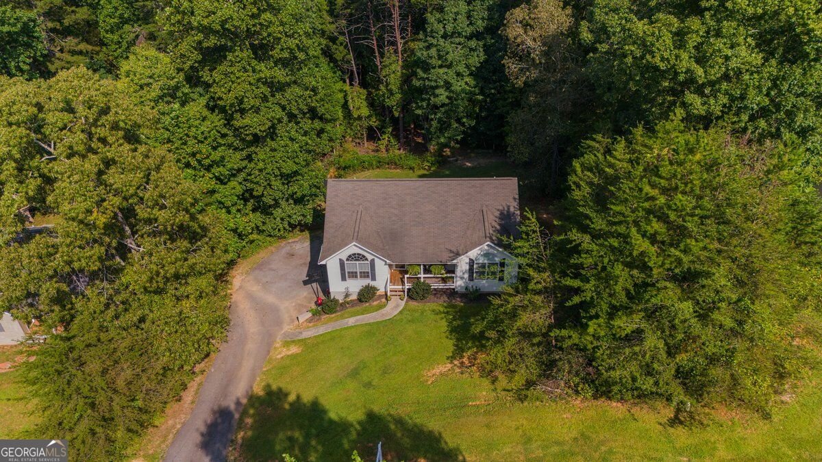 272 Cedar Springs Lane Dahlonega - Photo 45