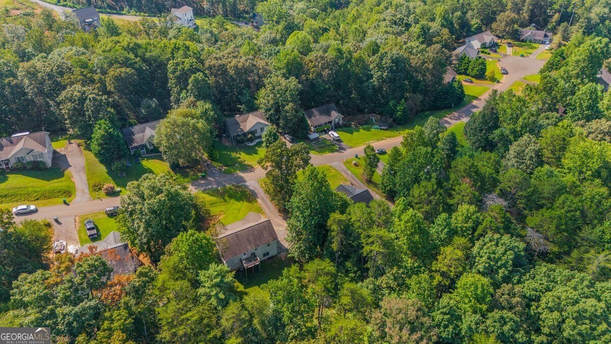 272 Cedar Springs Lane Dahlonega - Photo 48
