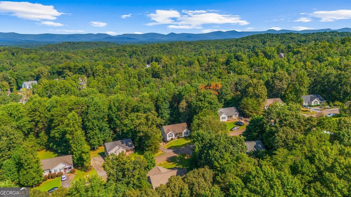 272 Cedar Springs Lane Dahlonega - Photo 50