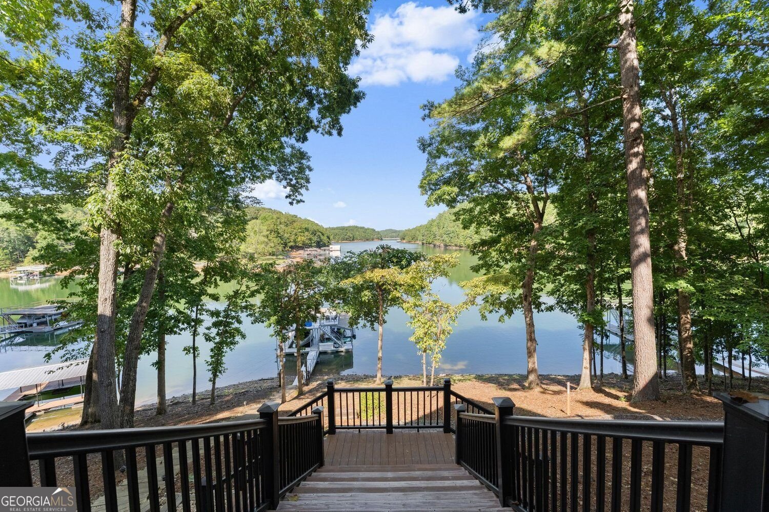 91 Chestatee View Place Dawsonville - Photo 107