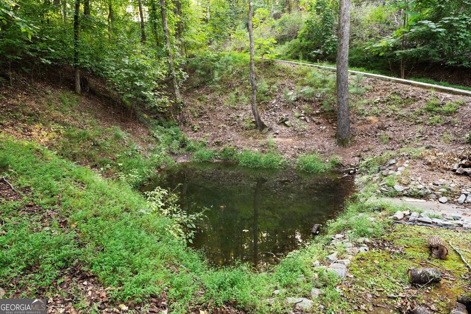 91 Chestatee View Place Dawsonville - Photo 123