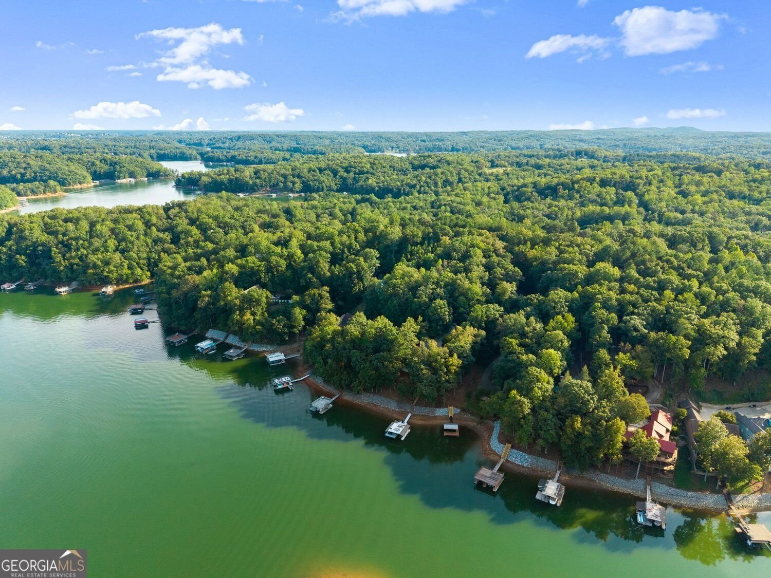 91 Chestatee View Place Dawsonville - Photo 137