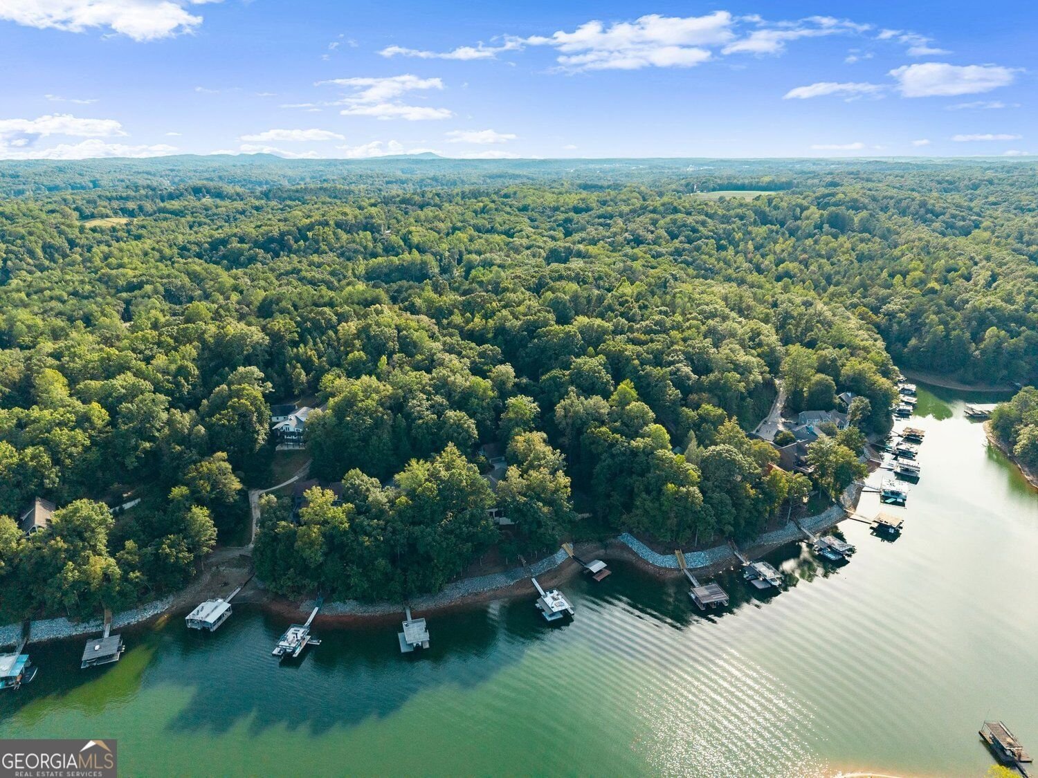 91 Chestatee View Place Dawsonville - Photo 140