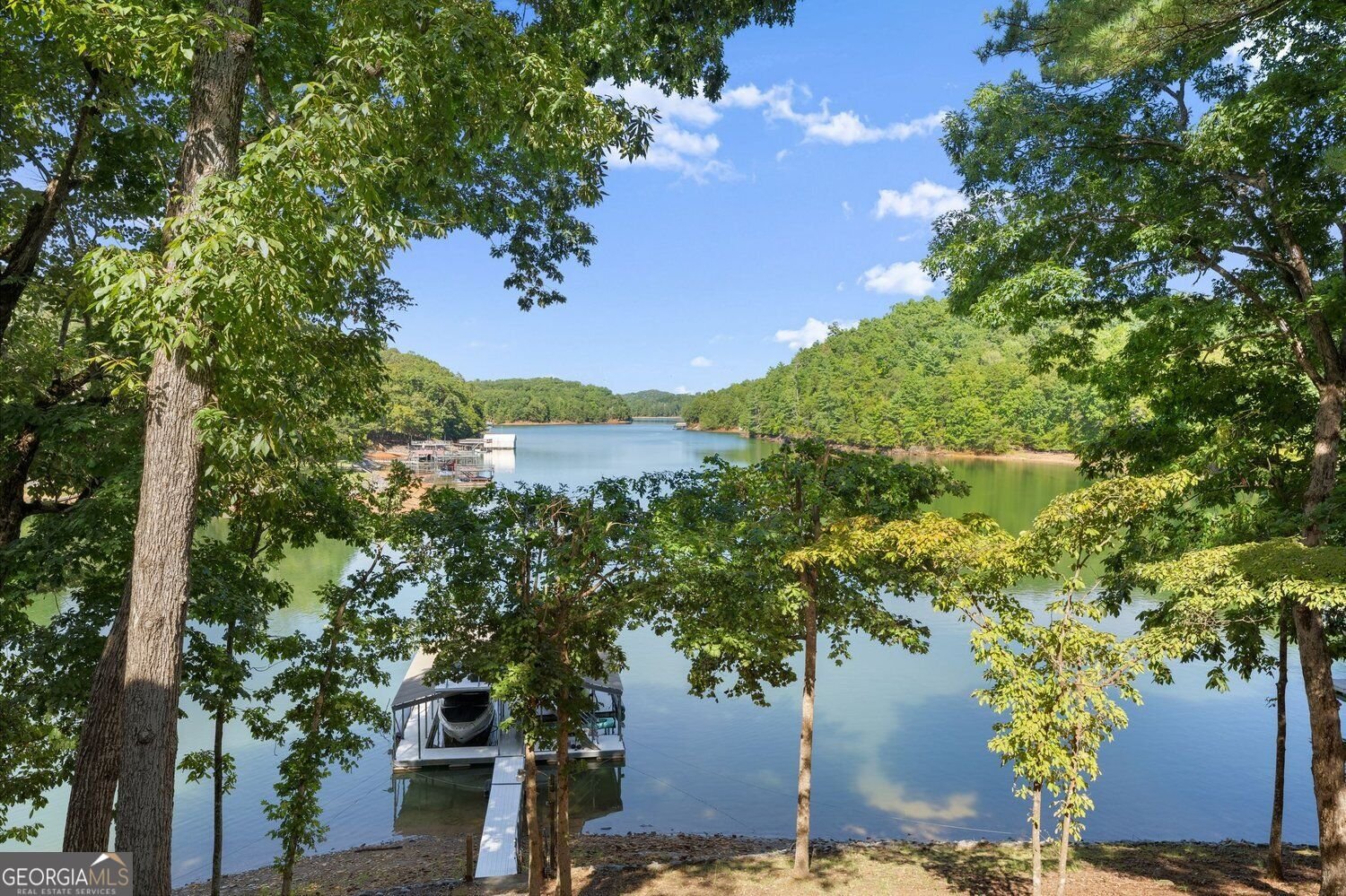 91 Chestatee View Place Dawsonville - Photo 99