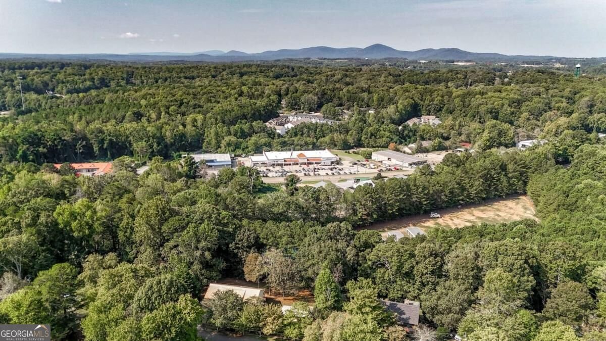 41 Green Forest Parkway Jasper - Photo 32