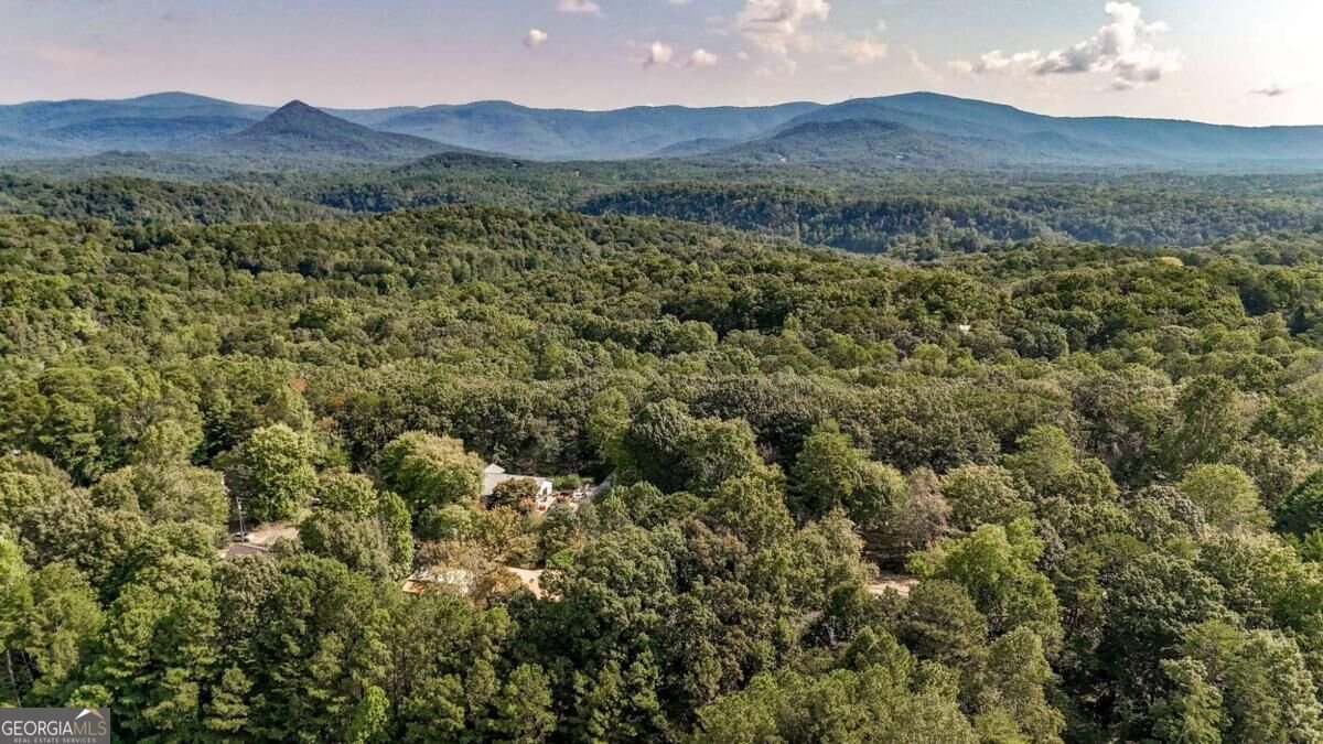 41 Green Forest Parkway Jasper - Photo 34