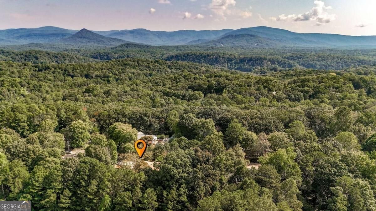 41 Green Forest Parkway Jasper - Photo 35