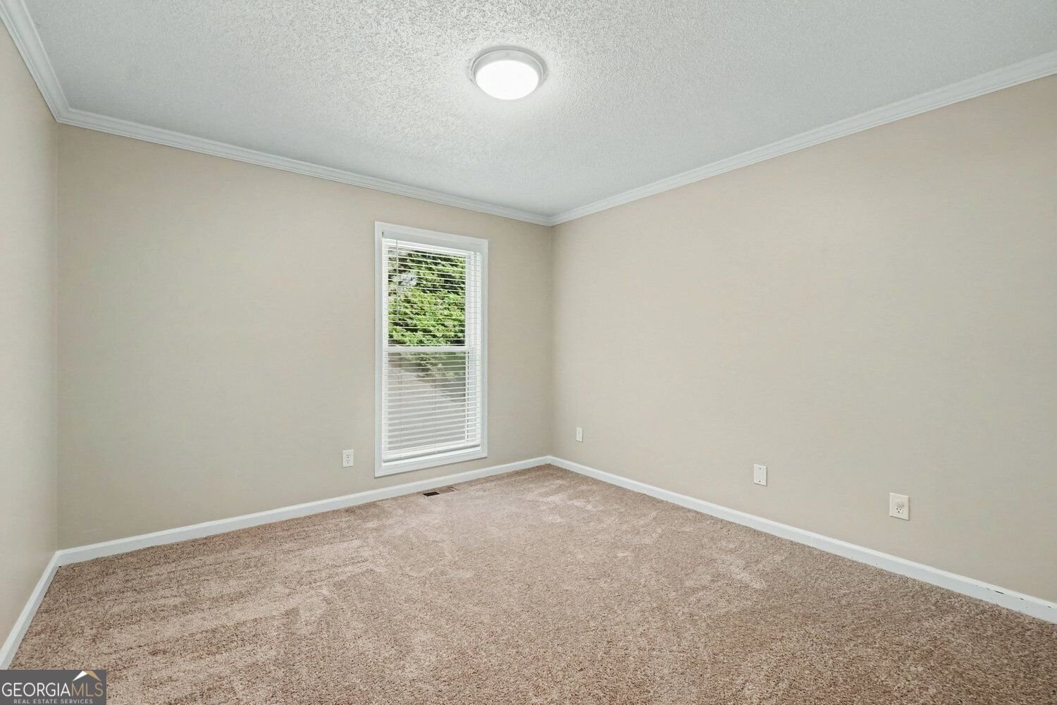 823 Moonlit Lane Acworth - Photo 8