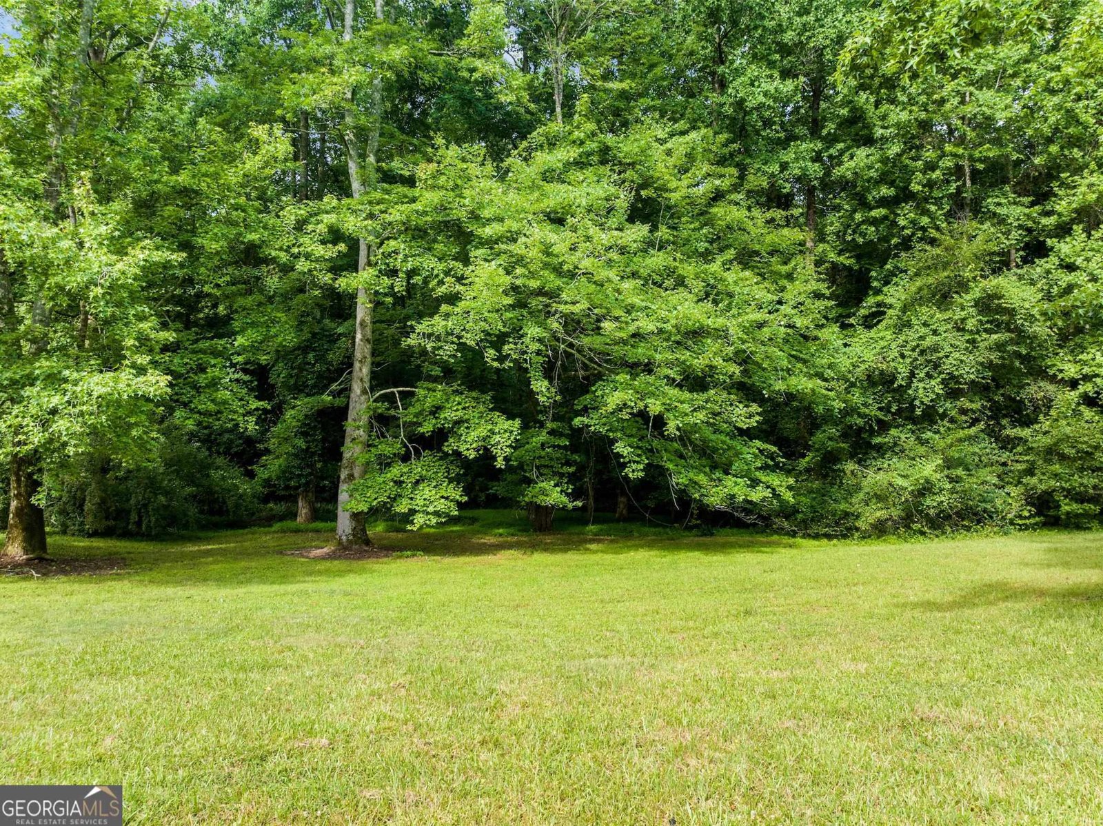 966 Wahoo Creek Road Murrayville - Photo 67