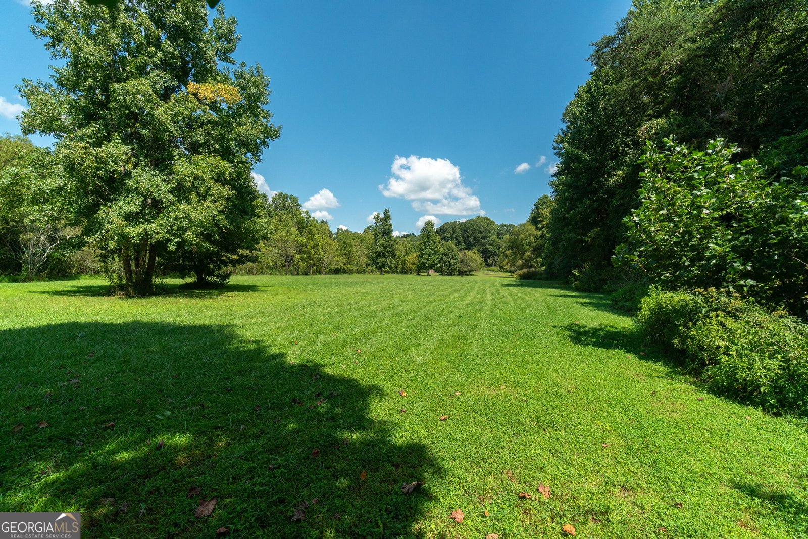 629 Crane Trail Cleveland - Photo 100