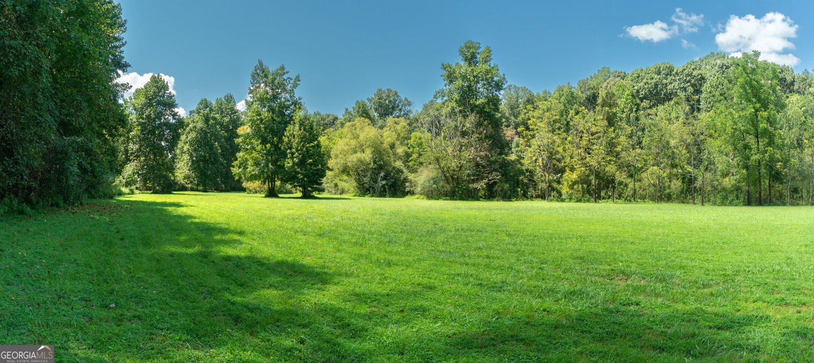 629 Crane Trail Cleveland - Photo 101