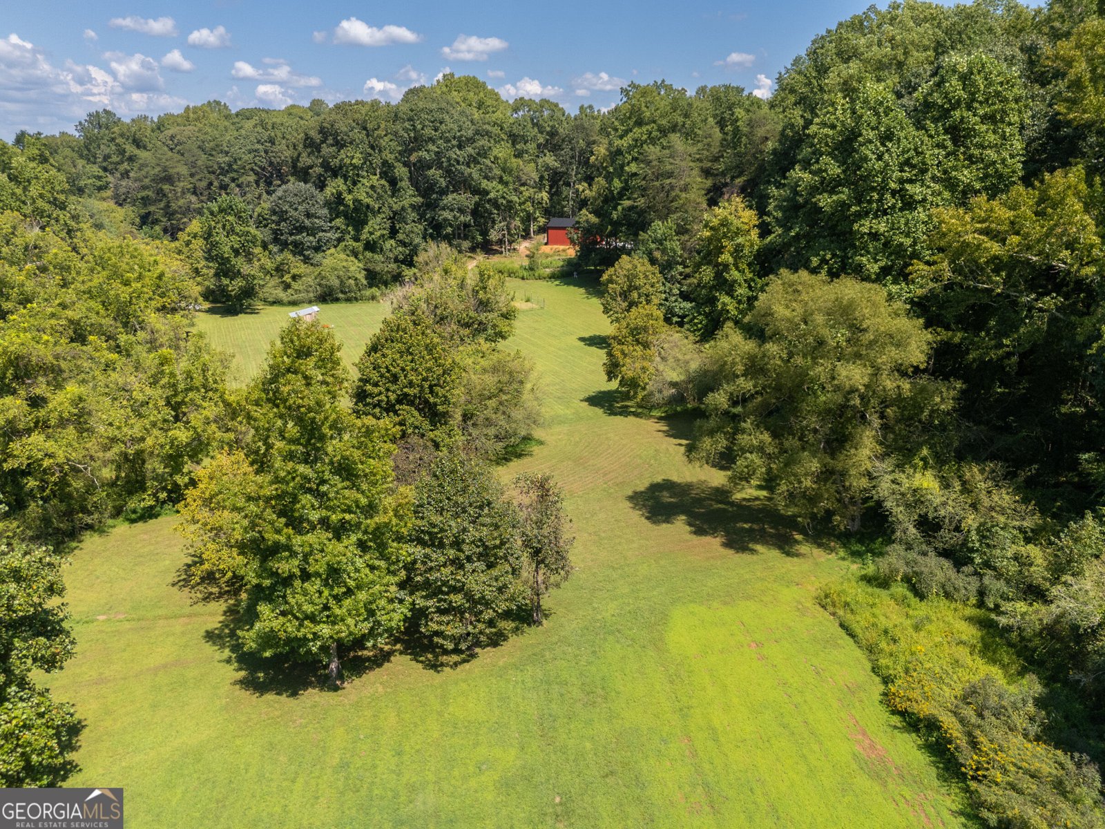 629 Crane Trail Cleveland - Photo 11