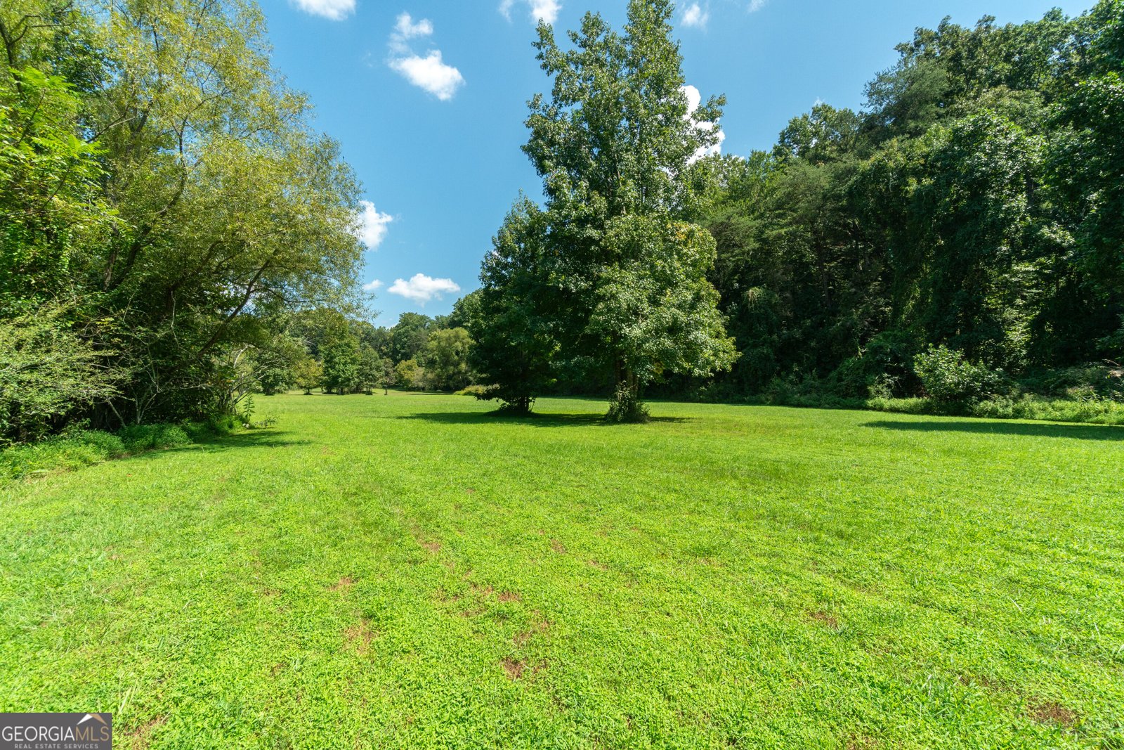629 Crane Trail Cleveland - Photo 6