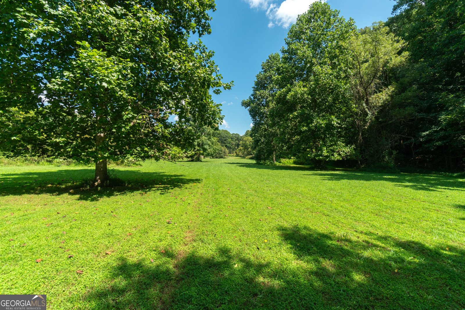 629 Crane Trail Cleveland - Photo 7