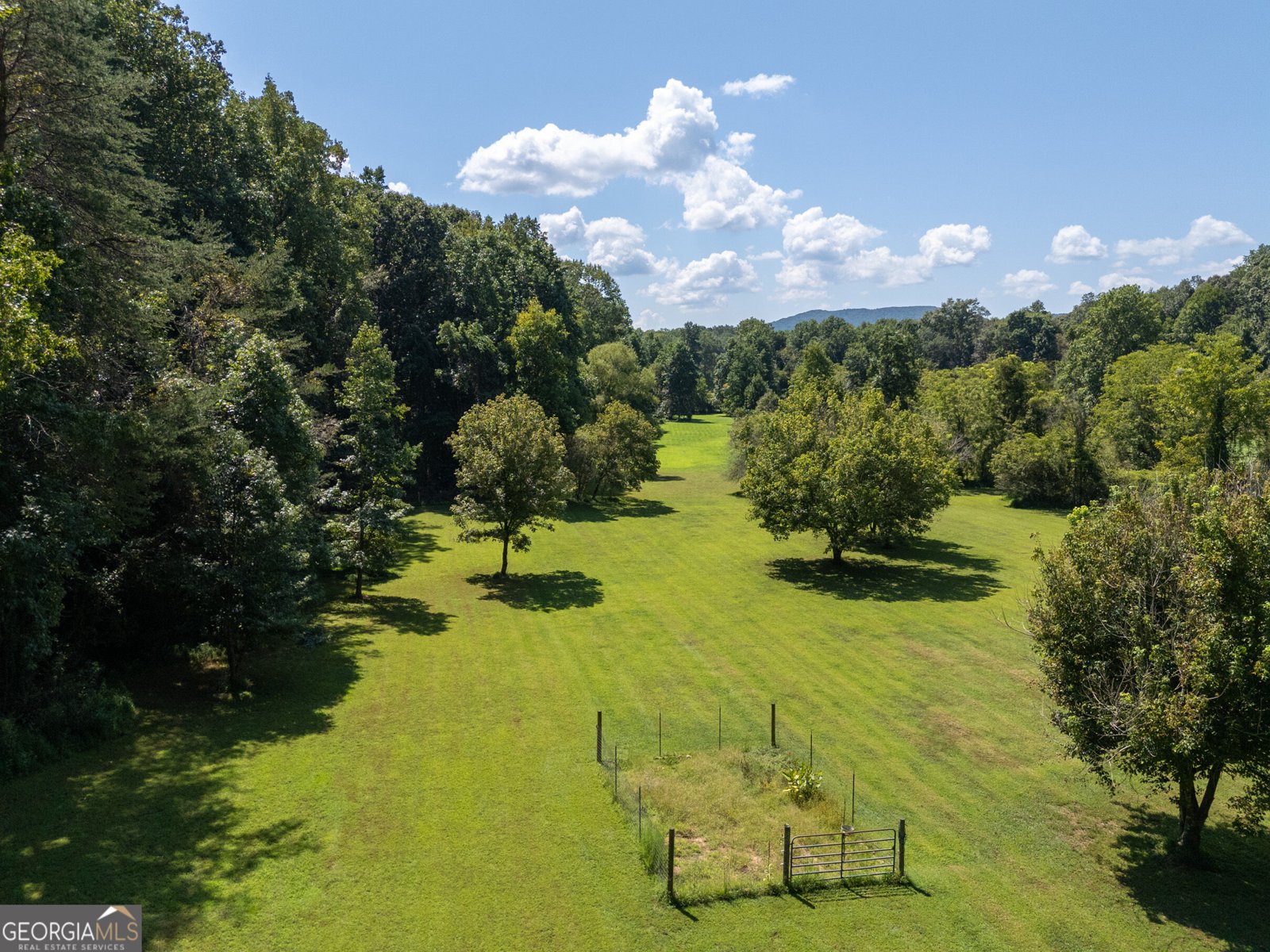 629 Crane Trail Cleveland - Photo 8