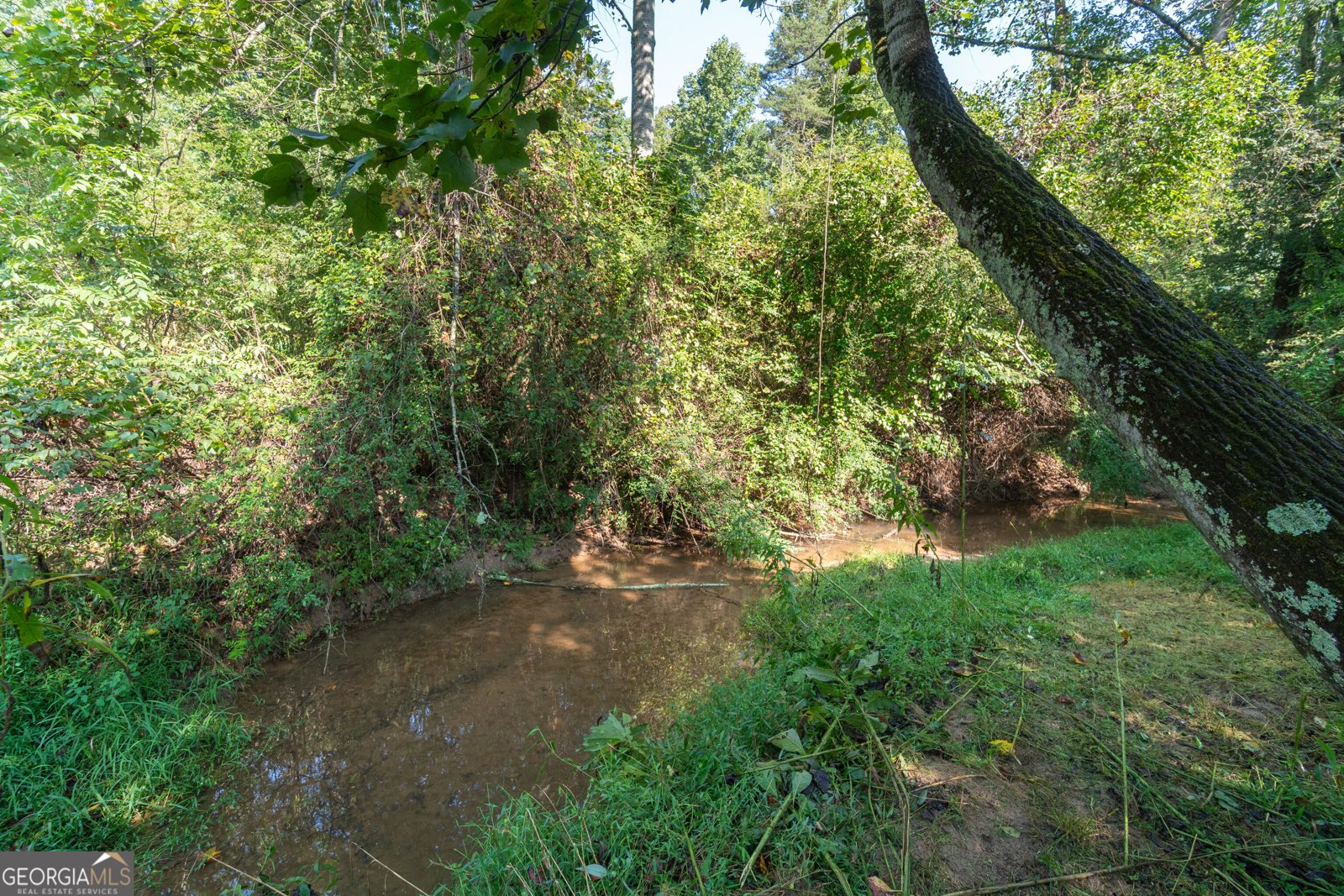 629 Crane Trail Cleveland - Photo 85