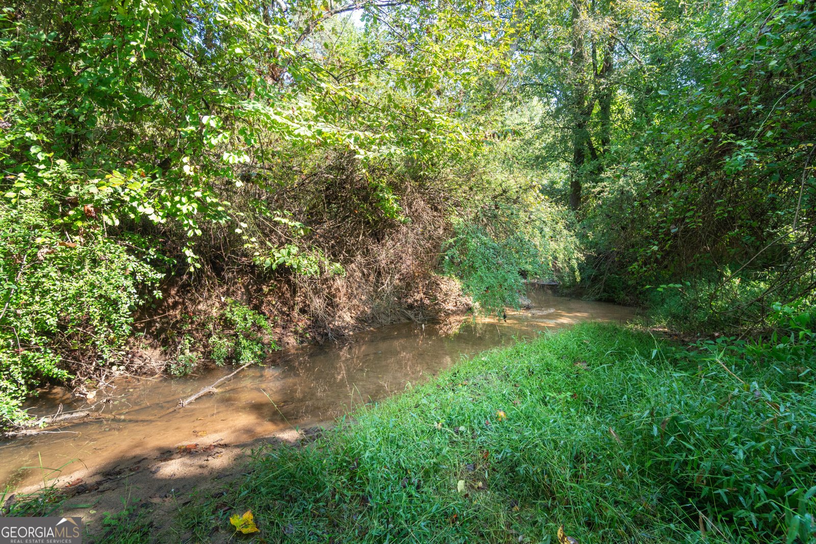 629 Crane Trail Cleveland - Photo 86