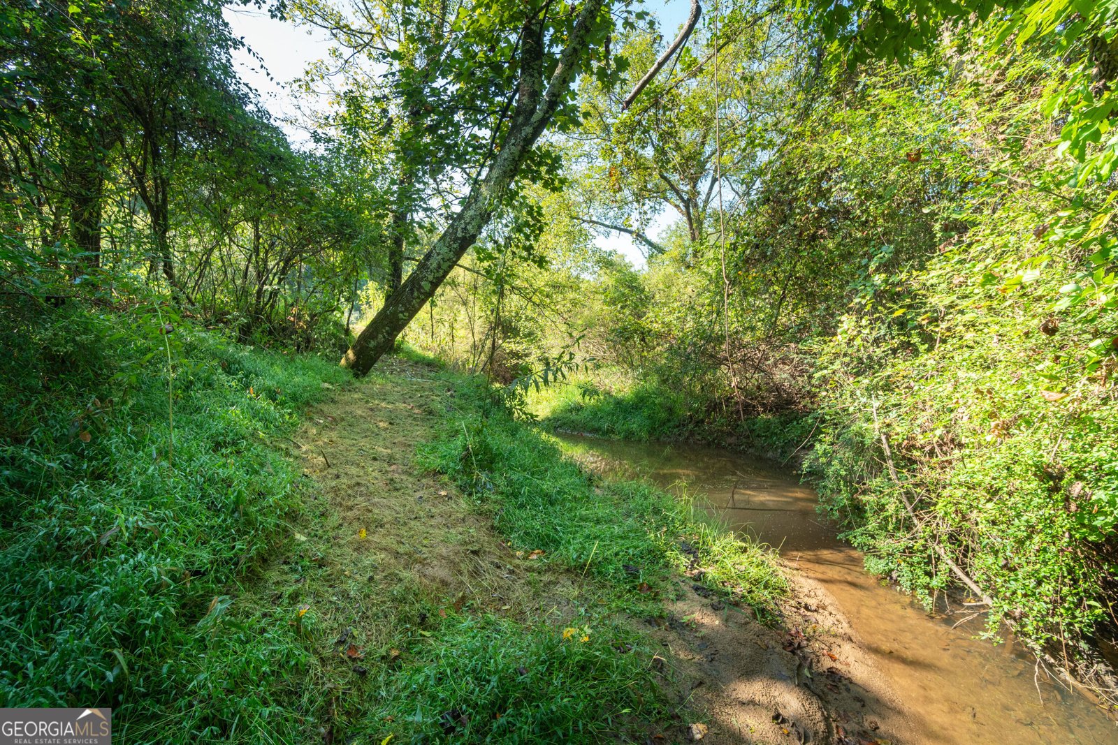629 Crane Trail Cleveland - Photo 87