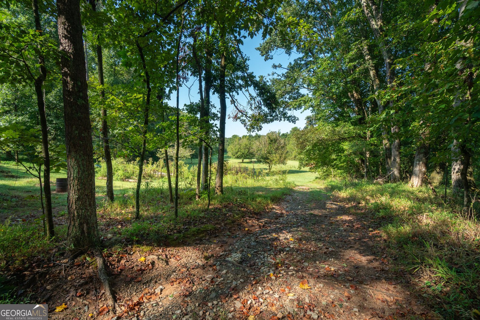 629 Crane Trail Cleveland - Photo 88
