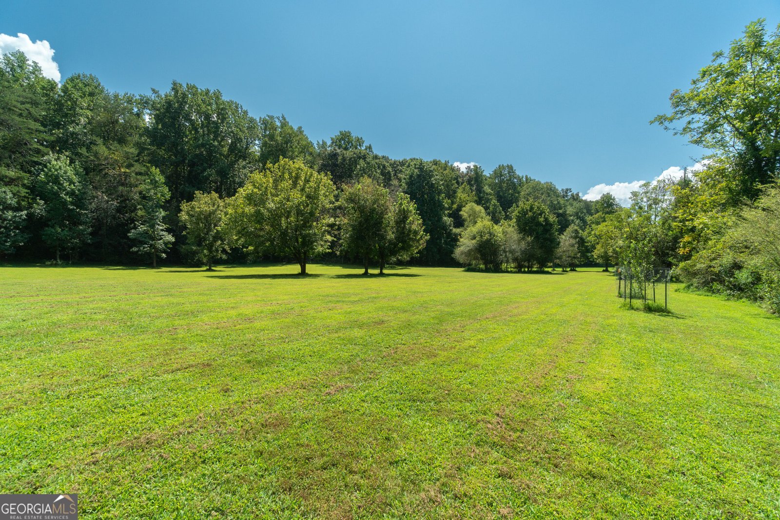 629 Crane Trail Cleveland - Photo 94