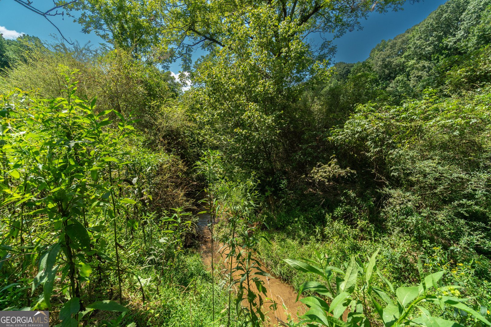 629 Crane Trail Cleveland - Photo 95