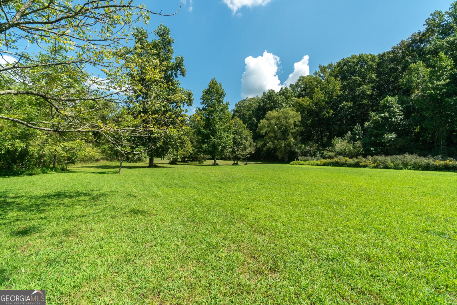 629 Crane Trail Cleveland - Photo 97