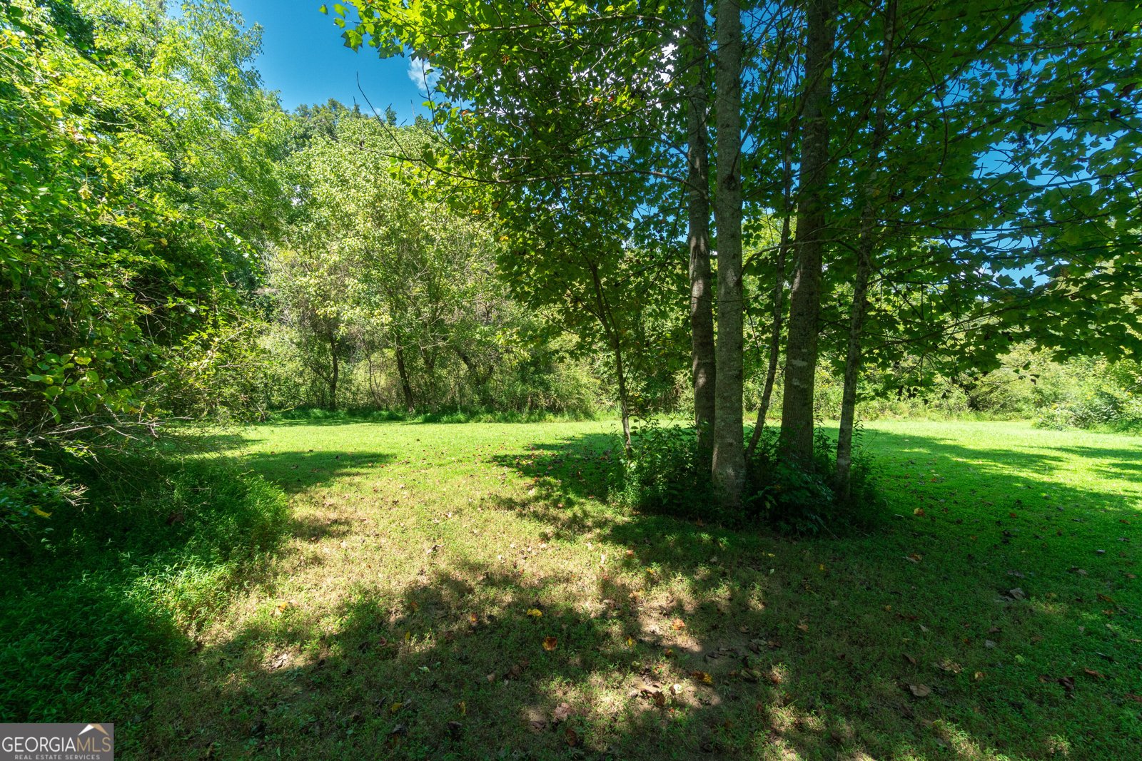 629 Crane Trail Cleveland - Photo 98