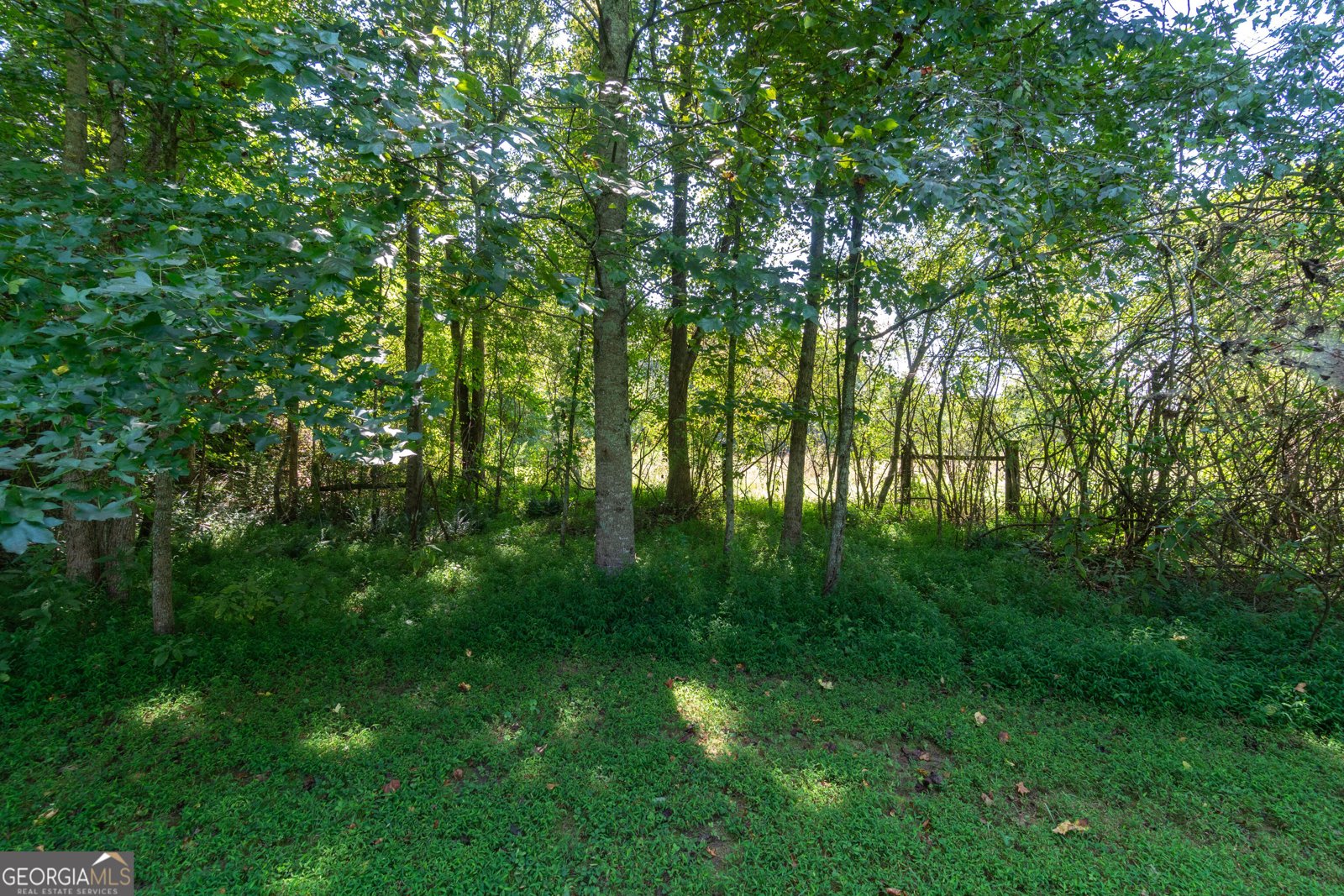 629 Crane Trail Cleveland - Photo 99