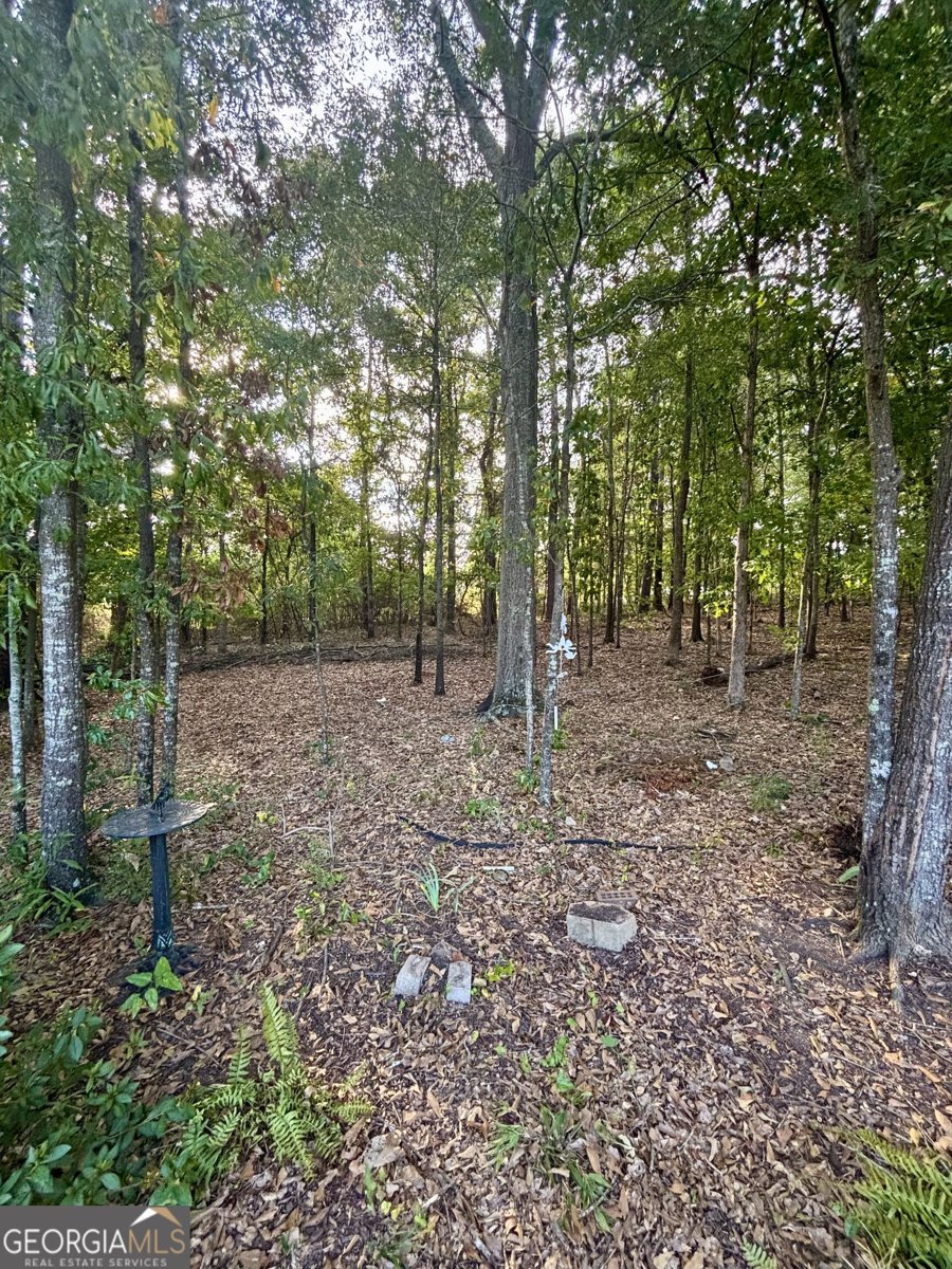 45 Cynthia Court Fayetteville - Photo 46