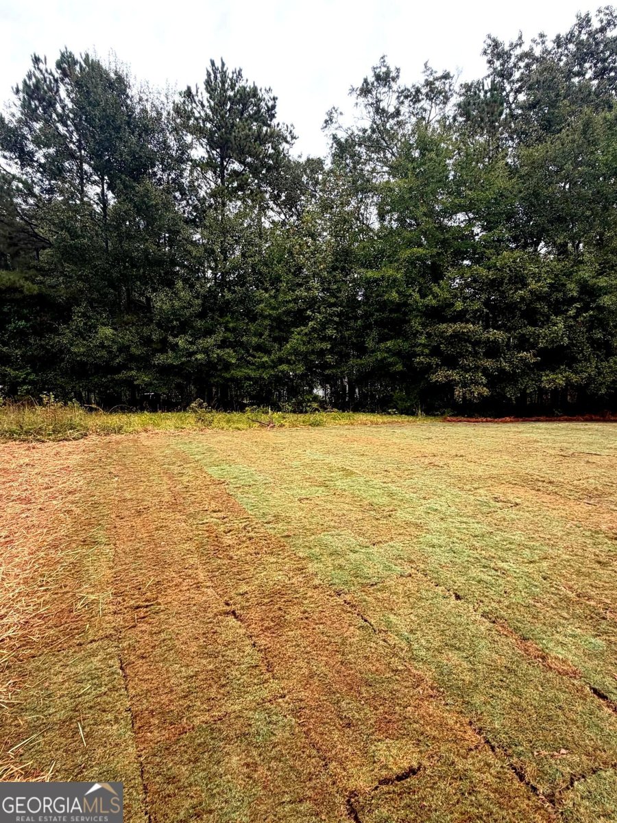 75 Oak Road Locust Grove - Photo 14