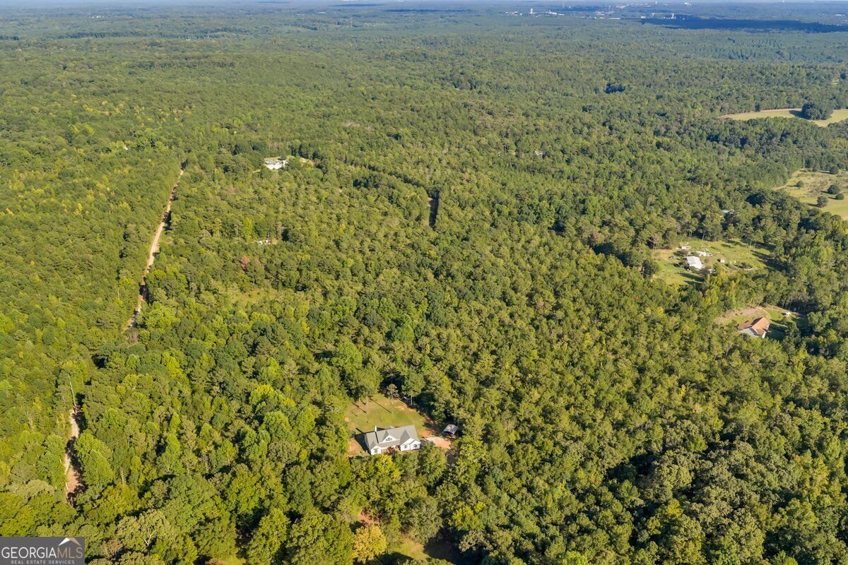 1466 Zellner Road Forsyth - Photo 31