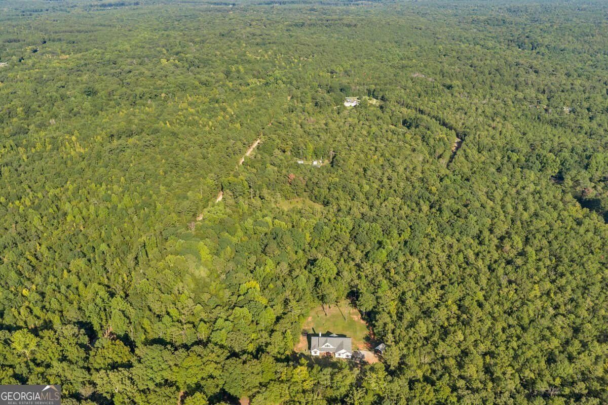 1466 Zellner Road Forsyth - Photo 32