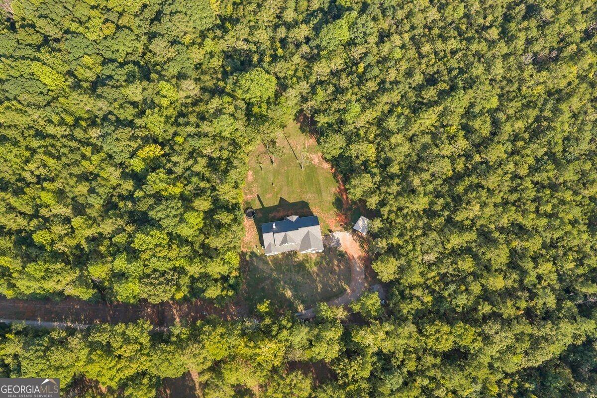 1466 Zellner Road Forsyth - Photo 34