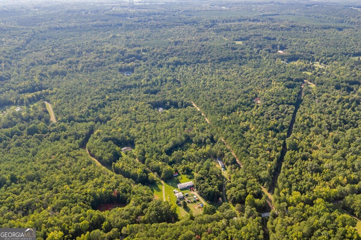 1466 Zellner Road Forsyth - Photo 37
