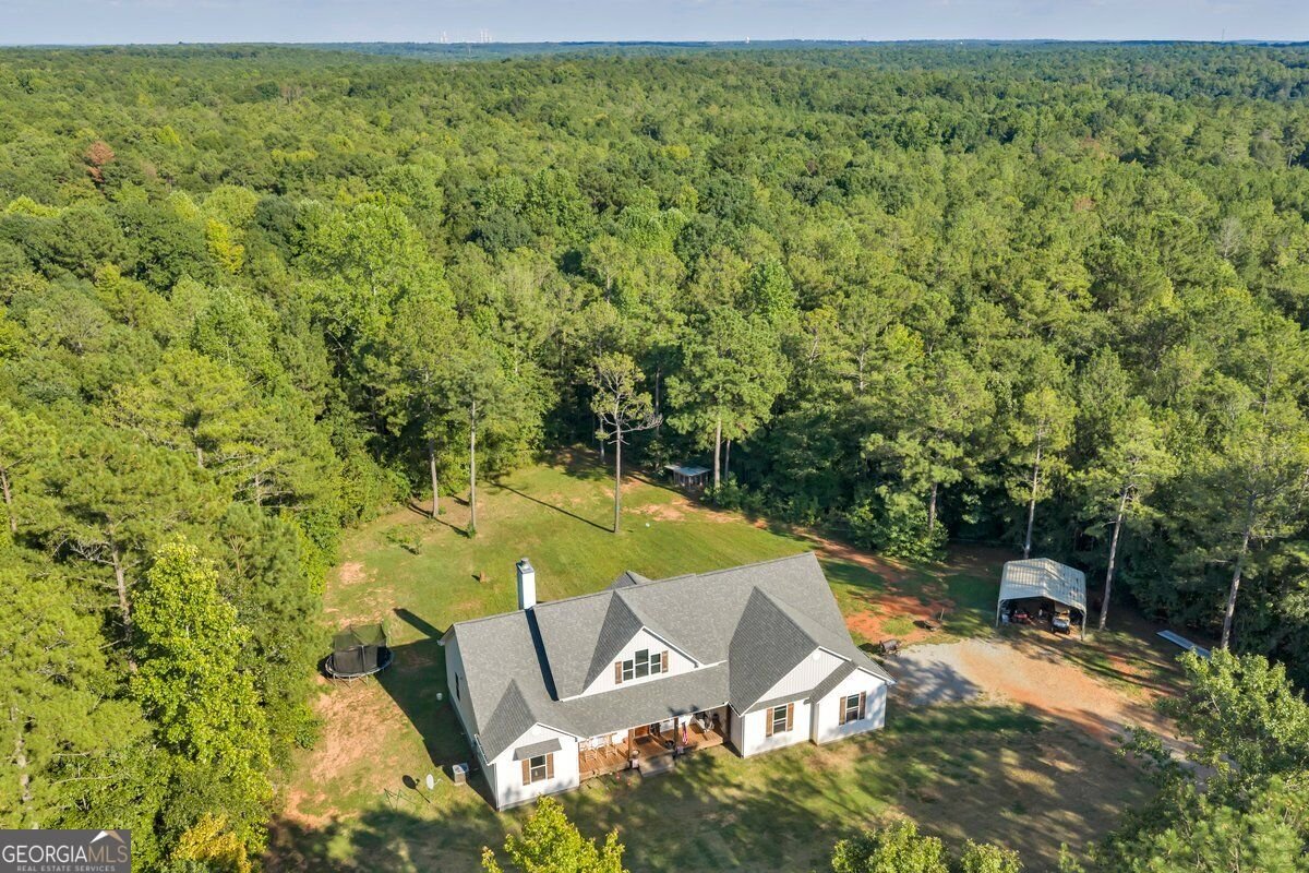 1466 Zellner Road Forsyth - Photo 39