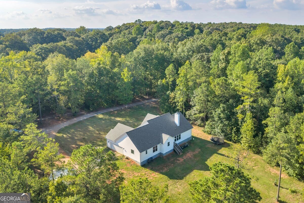 1466 Zellner Road Forsyth - Photo 41