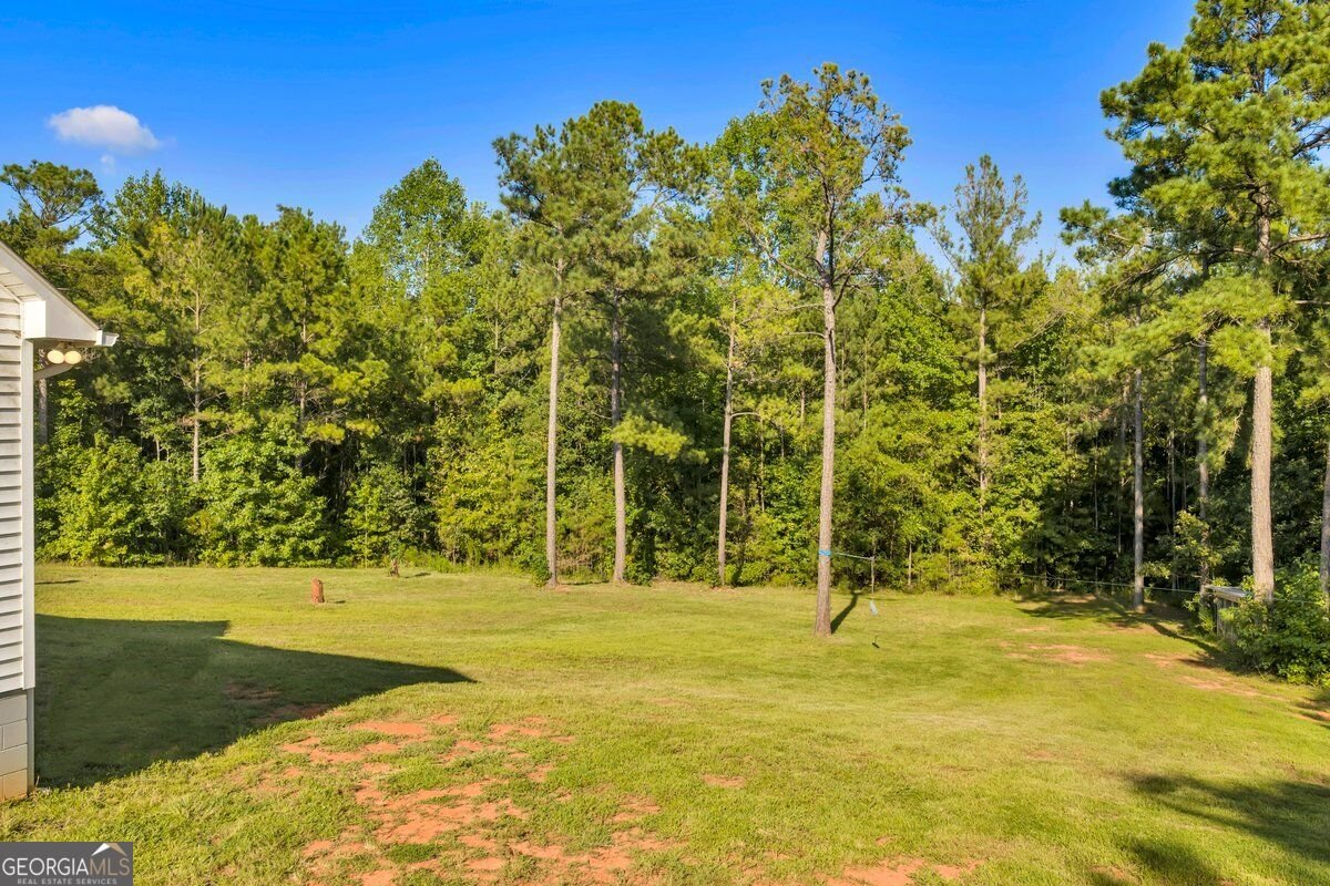 1466 Zellner Road Forsyth - Photo 44