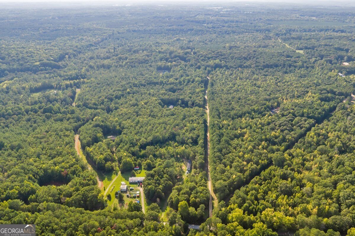 1466 Zellner Road Forsyth - Photo 46