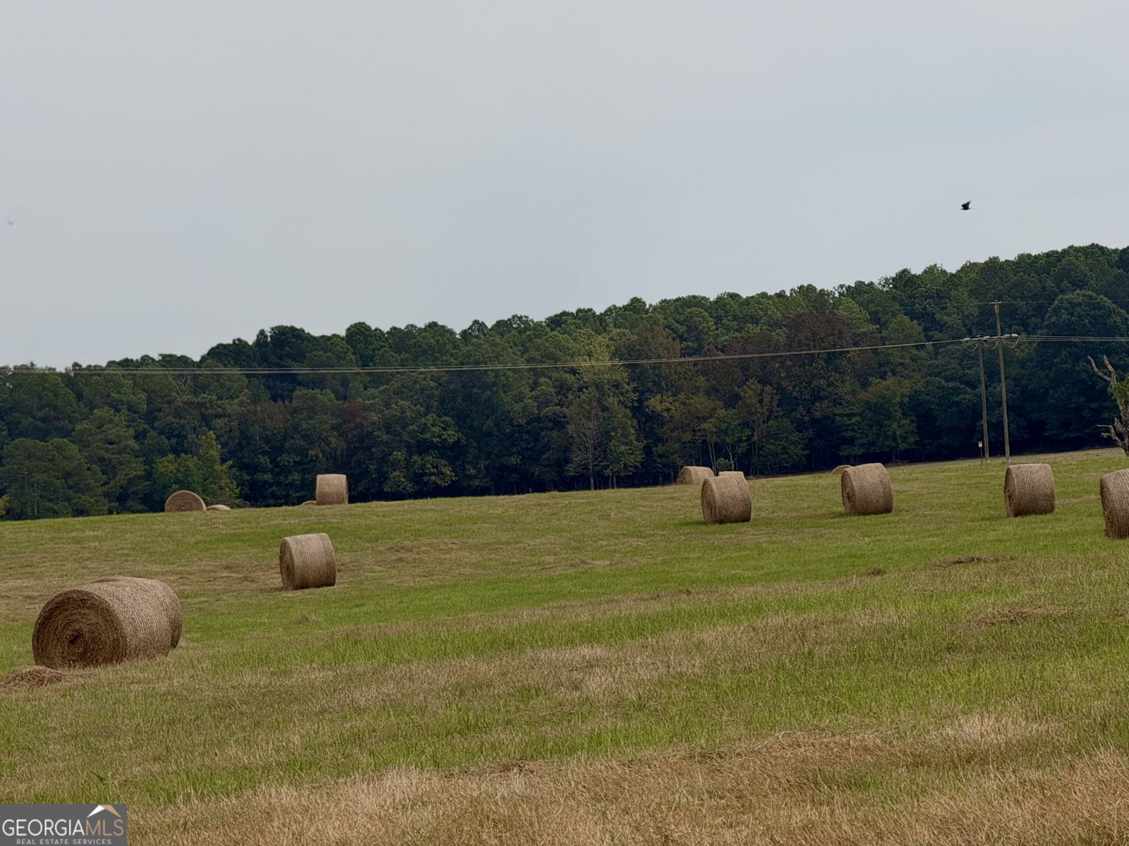 482 Barnett Road Crawfordville - Photo 45